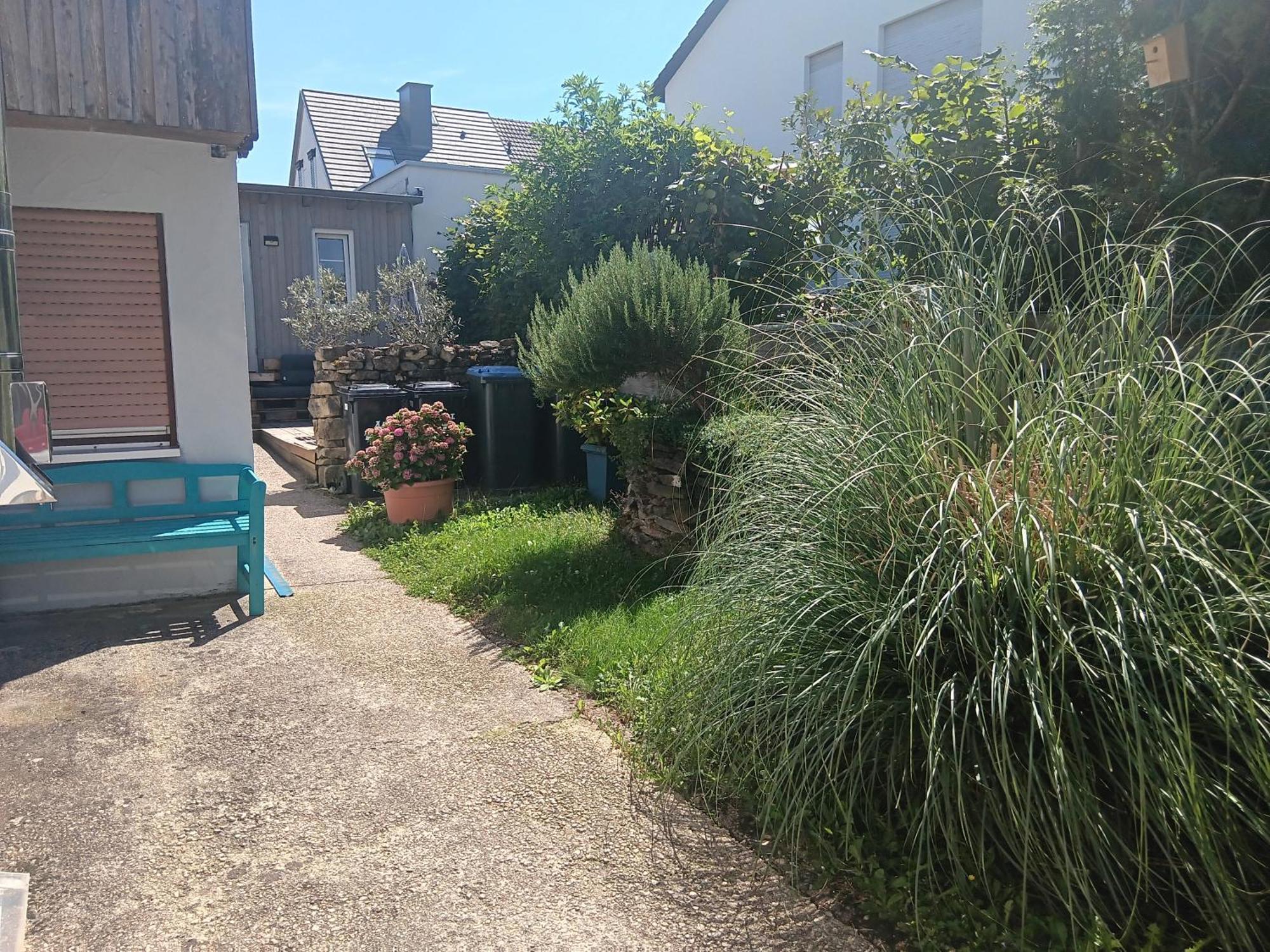 טרייר Ferienwohnung Mattheiser Weiher מראה חיצוני תמונה