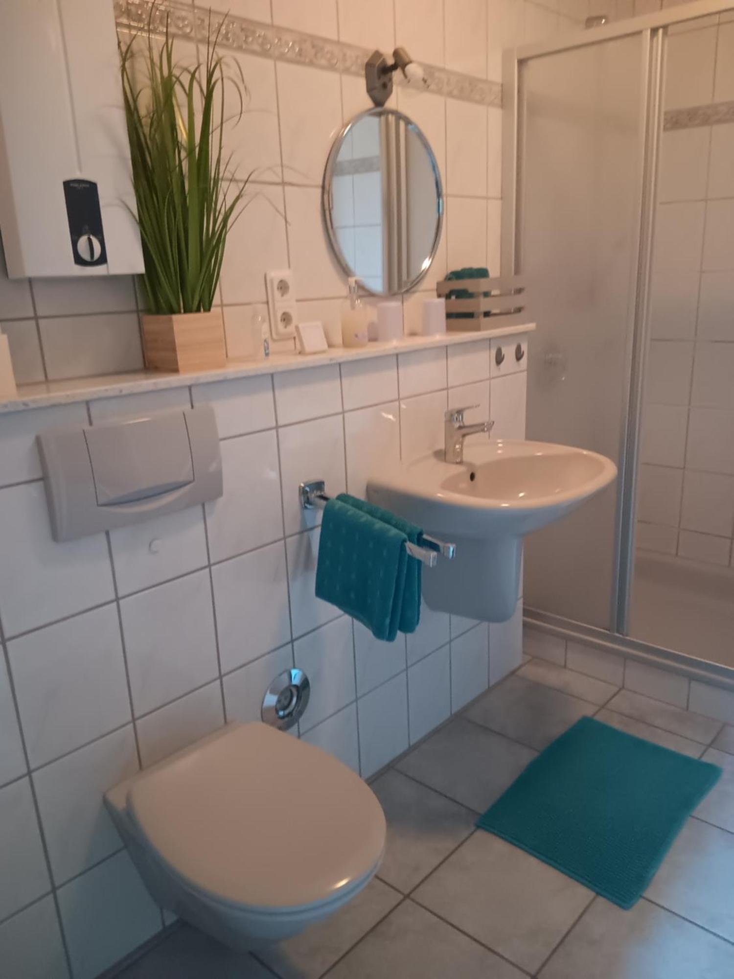 טרייר Ferienwohnung Mattheiser Weiher מראה חיצוני תמונה