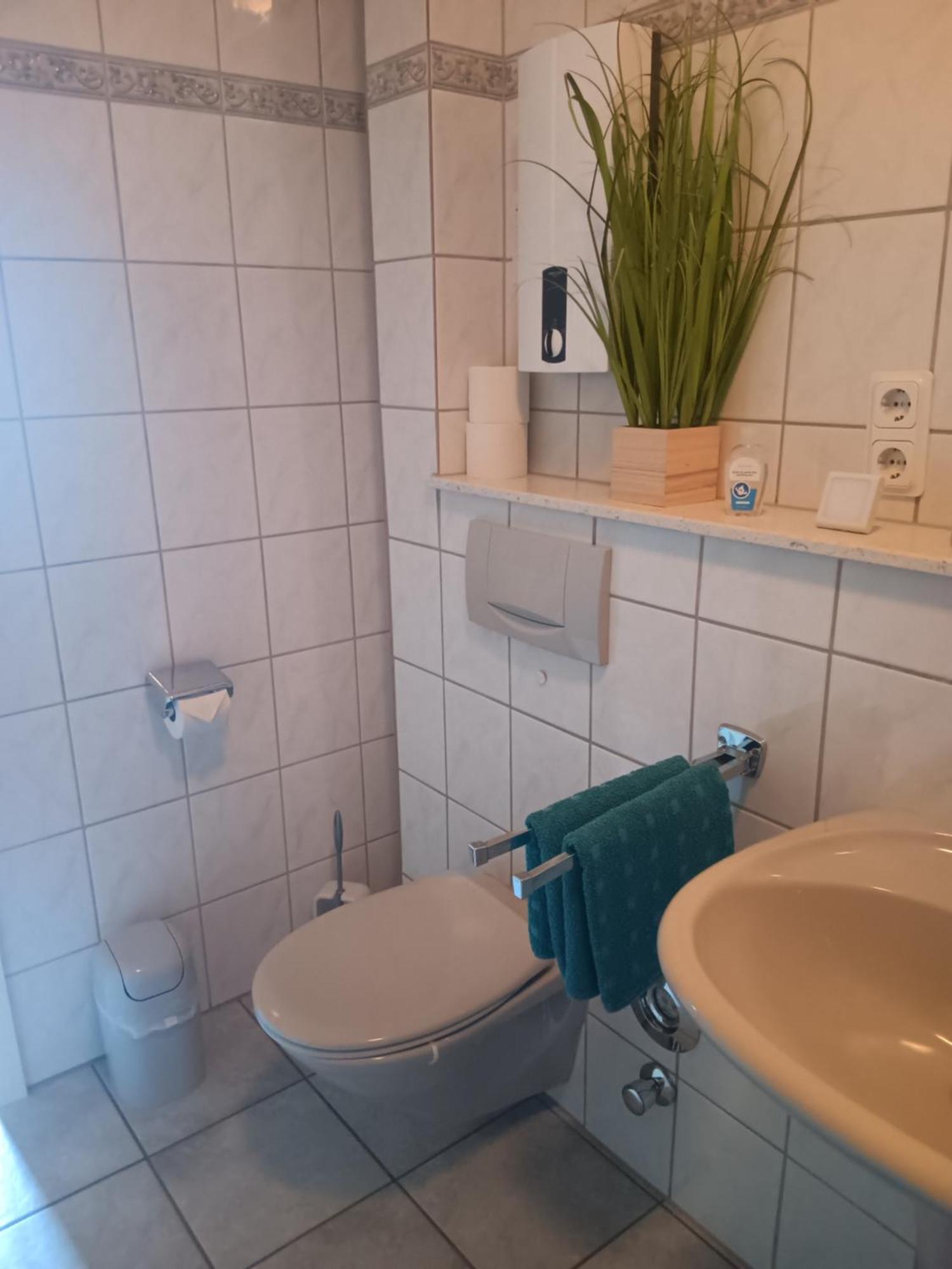 טרייר Ferienwohnung Mattheiser Weiher מראה חיצוני תמונה